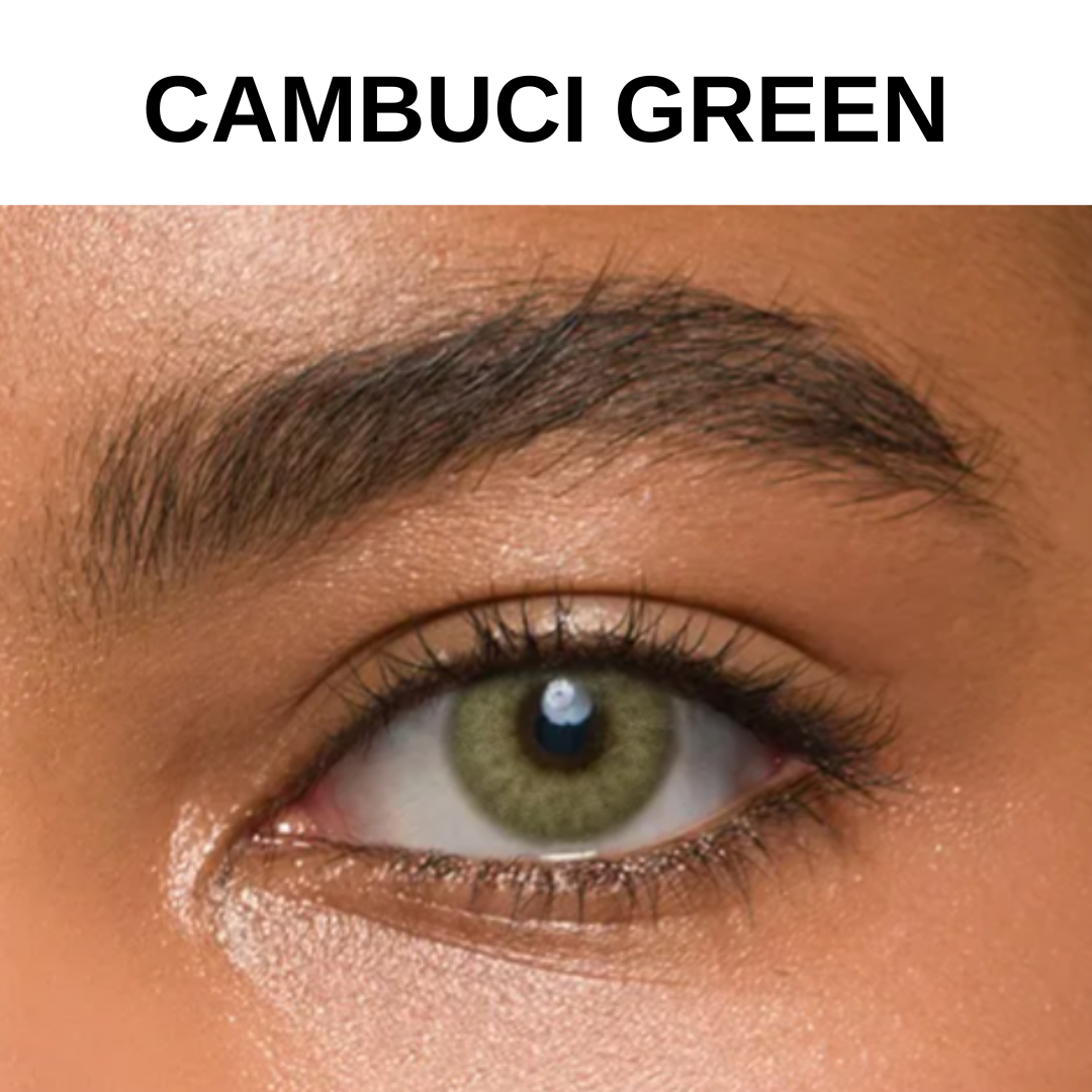 סולוטיקה אקוורל תלת חודשיות עם מספר - Solotica aquarella quarterly – תמונה 9